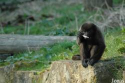 GaiaPark Kerkrade Zoo