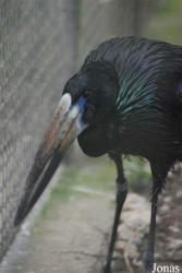 Zoo Praha
