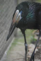 Zoo Praha