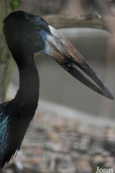 Zoo Praha