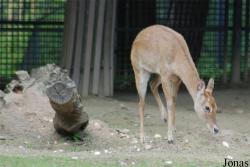 Zoo Praha
