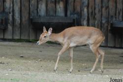 Zoo Praha