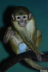 Zoo Praha