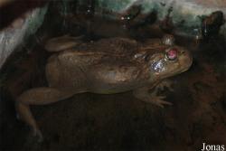 Zoo Praha