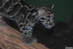 Zoo Praha