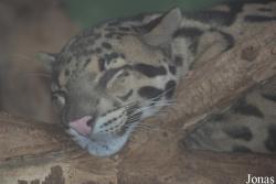 Zoo Praha