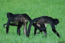 Zoo Praha