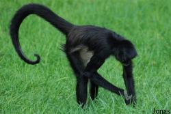 Zoo Praha