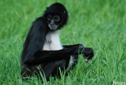 Zoo Praha