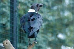 Zoo Praha