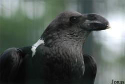 Zoo Praha