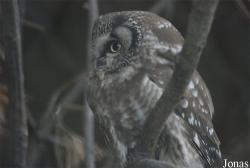 Zoo Praha