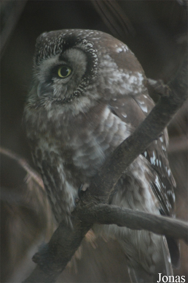 Zoo Praha
