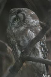 Zoo Praha