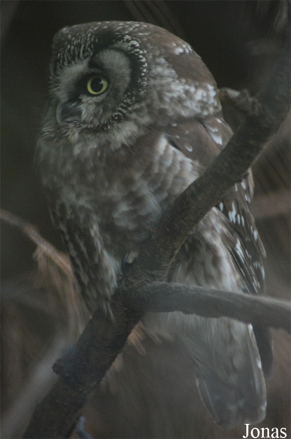Zoo Praha