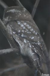Zoo Praha