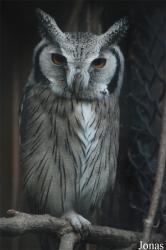 Zoo Praha