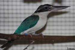 Zoologická a botanická zahrada města Plzně