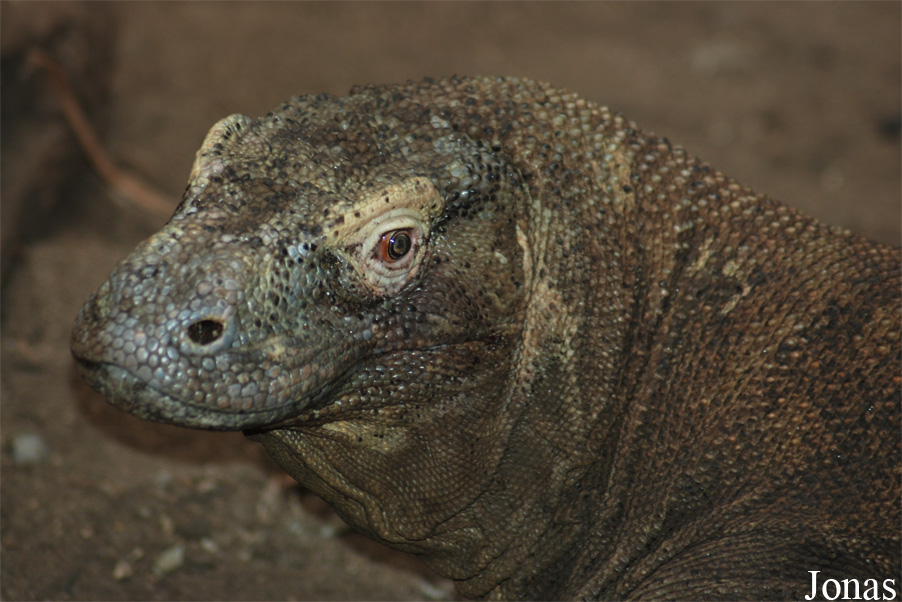 Zoologická a botanická zahrada města Plzně