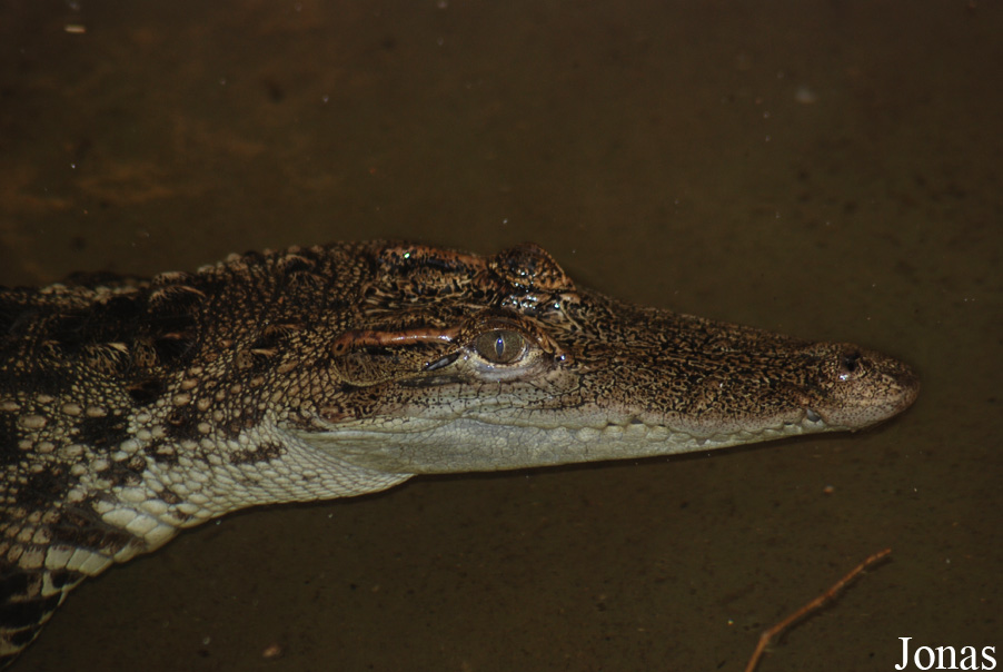 Zoologická a botanická zahrada města Plzně