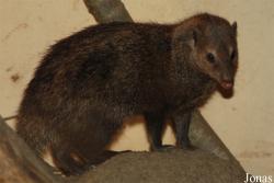 Zoologická a botanická zahrada města Plzně