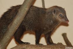 Zoologická a botanická zahrada města Plzně
