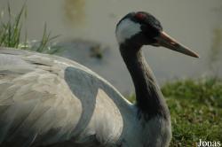 GaiaPark Kerkrade Zoo