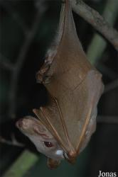 Zoologická a botanická zahrada města Plzně