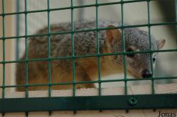 Zoologická a botanická zahrada města Plzně