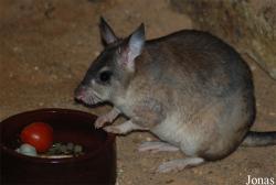Zoologická a botanická zahrada města Plzně