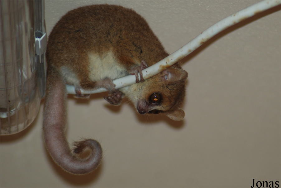 Zoologická a botanická zahrada města Plzně