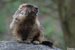 Zoologická a botanická zahrada města Plzně