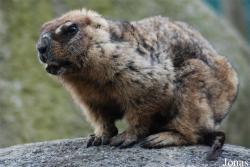 Zoologická a botanická zahrada města Plzně