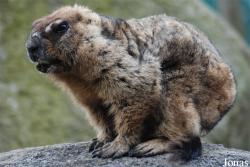 Zoologická a botanická zahrada města Plzně