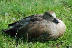 Zoologická a botanická zahrada města Plzně