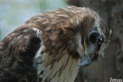Zoologická a botanická zahrada města Plzně