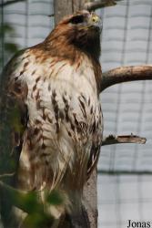 Zoologická a botanická zahrada města Plzně