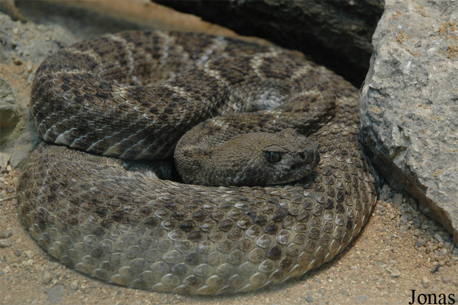 Zoologická a botanická zahrada města Plzně