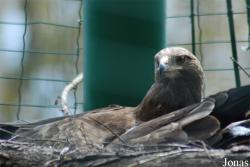 Zoologická a botanická zahrada města Plzně