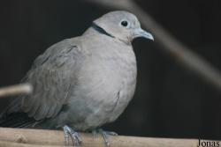 Zoologická a botanická zahrada města Plzně