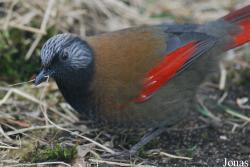 Zoologická a botanická zahrada města Plzně