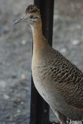 Zoologická a botanická zahrada města Plzně