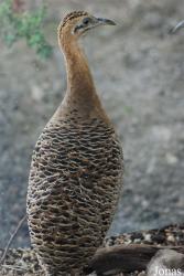 Zoologická a botanická zahrada města Plzně