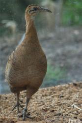 Zoologická a botanická zahrada města Plzně