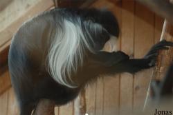 Zoologická a botanická zahrada města Plzně