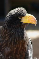 Zoologická a botanická zahrada města Plzně