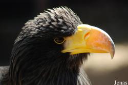 Zoologická a botanická zahrada města Plzně