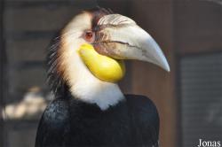 Vogelpark Avifauna