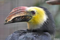 Vogelpark Avifauna