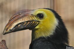 Vogelpark Avifauna